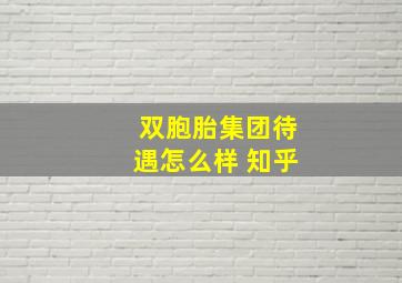 双胞胎集团待遇怎么样 知乎